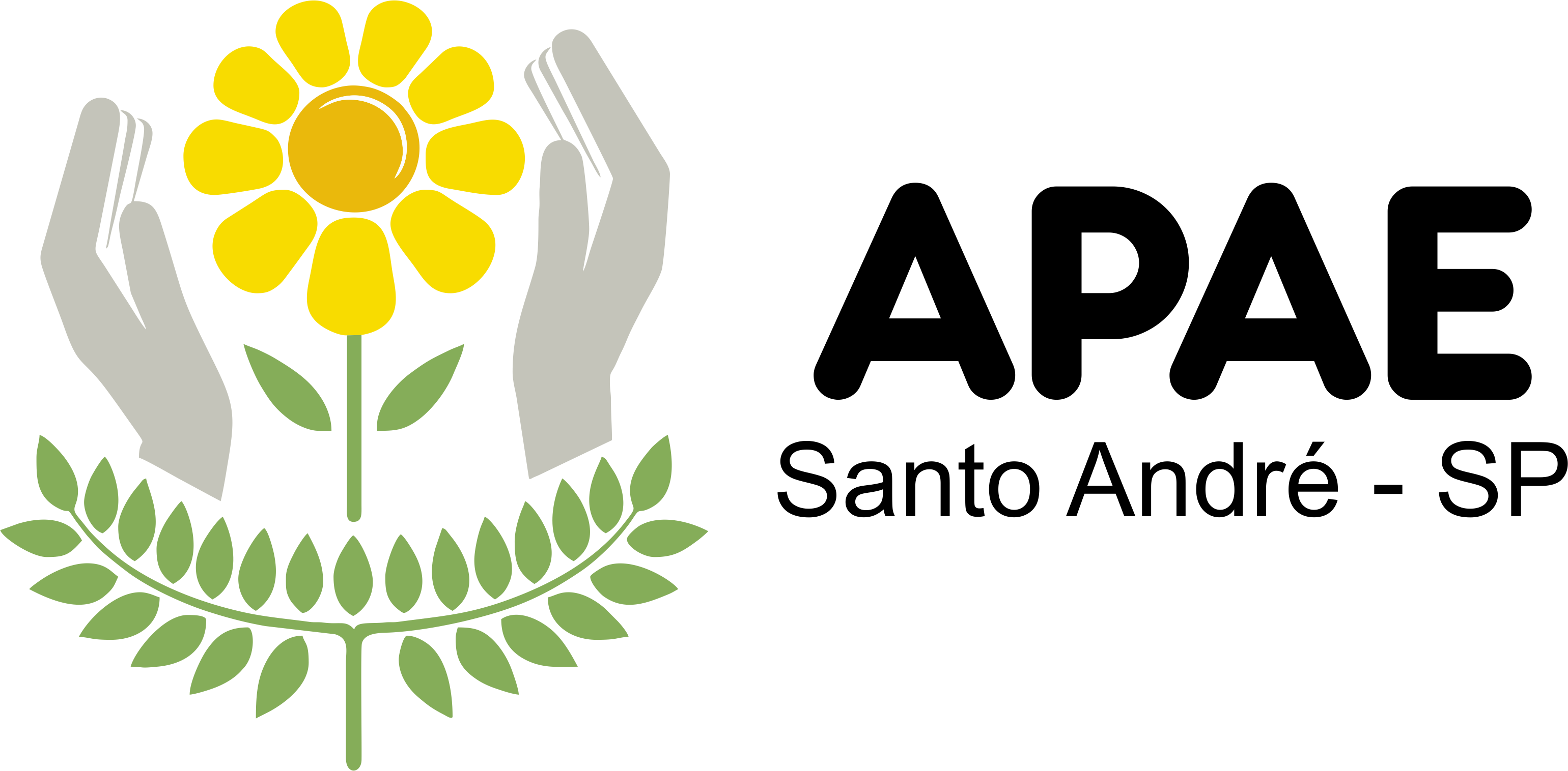 APAE Santo André