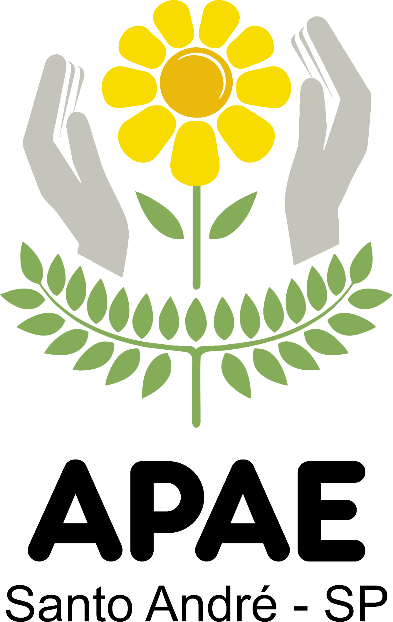 APAE Santo André